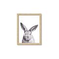 Picture of Big Bunny _GroupedProduct_Rectangle_Portrait_Framed_Matted_