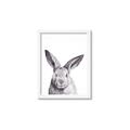 Picture of Big Bunny _GroupedProduct_Rectangle_Portrait_Framed_Matted_