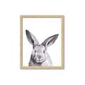 Picture of Big Bunny _GroupedProduct_Rectangle_Portrait_Framed_Matted_