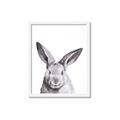 Picture of Big Bunny _GroupedProduct_Rectangle_Portrait_Framed_Matted_
