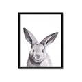 Picture of Big Bunny _GroupedProduct_Rectangle_Portrait_Framed_Matted_
