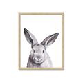 Picture of Big Bunny _GroupedProduct_Rectangle_Portrait_Framed_Matted_