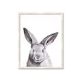 Picture of Big Bunny _GroupedProduct_Rectangle_Portrait_Framed_Matted_