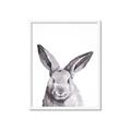 Picture of Big Bunny _GroupedProduct_Rectangle_Portrait_Framed_Matted_