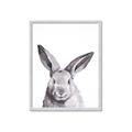 Picture of Big Bunny _GroupedProduct_Rectangle_Portrait_Framed_Matted_