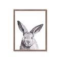Picture of Big Bunny _GroupedProduct_Rectangle_Portrait_Framed_Matted_