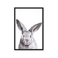 Picture of Big Bunny _GroupedProduct_Rectangle_Portrait_Framed_Matted_