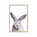 Picture of Big Bunny _GroupedProduct_Rectangle_Portrait_Framed_Matted_