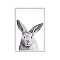 Picture of Big Bunny _GroupedProduct_Rectangle_Portrait_Framed_Matted_