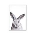 Picture of Big Bunny _GroupedProduct_Rectangle_Portrait_Framed_Matted_