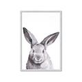 Picture of Big Bunny _GroupedProduct_Rectangle_Portrait_Framed_Matted_
