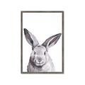 Picture of Big Bunny _GroupedProduct_Rectangle_Portrait_Framed_Matted_