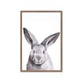 Picture of Big Bunny _GroupedProduct_Rectangle_Portrait_Framed_Matted_