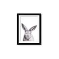 Picture of Big Bunny _GroupedProduct_Rectangle_Portrait_Framed_Matted_