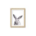 Picture of Big Bunny _GroupedProduct_Rectangle_Portrait_Framed_Matted_