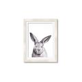 Picture of Big Bunny _GroupedProduct_Rectangle_Portrait_Framed_Matted_