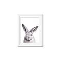 Picture of Big Bunny _GroupedProduct_Rectangle_Portrait_Framed_Matted_