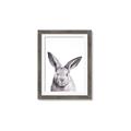 Picture of Big Bunny _GroupedProduct_Rectangle_Portrait_Framed_Matted_