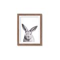 Picture of Big Bunny _GroupedProduct_Rectangle_Portrait_Framed_Matted_