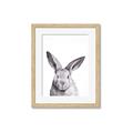 Picture of Big Bunny _GroupedProduct_Rectangle_Portrait_Framed_Matted_
