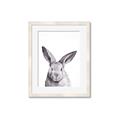 Picture of Big Bunny _GroupedProduct_Rectangle_Portrait_Framed_Matted_
