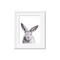 Picture of Big Bunny _GroupedProduct_Rectangle_Portrait_Framed_Matted_