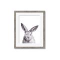 Picture of Big Bunny _GroupedProduct_Rectangle_Portrait_Framed_Matted_