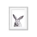 Picture of Big Bunny _GroupedProduct_Rectangle_Portrait_Framed_Matted_