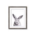 Picture of Big Bunny _GroupedProduct_Rectangle_Portrait_Framed_Matted_