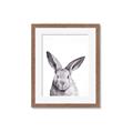 Picture of Big Bunny _GroupedProduct_Rectangle_Portrait_Framed_Matted_
