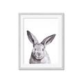 Picture of Big Bunny _GroupedProduct_Rectangle_Portrait_Framed_Matted_