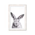 Picture of Big Bunny _GroupedProduct_Rectangle_Portrait_Framed_Matted_
