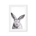 Picture of Big Bunny _GroupedProduct_Rectangle_Portrait_Framed_Matted_