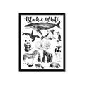 Picture of Black and white Animals _GroupedProduct_Rectangle_Portrait_Framed_Matted_