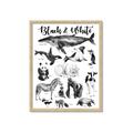 Picture of Black and white Animals _GroupedProduct_Rectangle_Portrait_Framed_Matted_