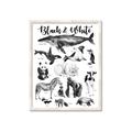 Picture of Black and white Animals _GroupedProduct_Rectangle_Portrait_Framed_Matted_