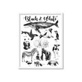 Picture of Black and white Animals _GroupedProduct_Rectangle_Portrait_Framed_Matted_