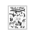 Picture of Black and white Animals _GroupedProduct_Rectangle_Portrait_Framed_Matted_