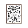 Picture of Black and white Animals _GroupedProduct_Rectangle_Portrait_Framed_Matted_