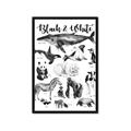 Picture of Black and white Animals _GroupedProduct_Rectangle_Portrait_Framed_Matted_