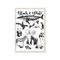 Picture of Black and white Animals _GroupedProduct_Rectangle_Portrait_Framed_Matted_