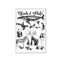 Picture of Black and white Animals _GroupedProduct_Rectangle_Portrait_Framed_Matted_