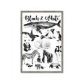Picture of Black and white Animals _GroupedProduct_Rectangle_Portrait_Framed_Matted_