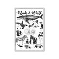 Picture of Black and white Animals _GroupedProduct_Rectangle_Portrait_Framed_Matted_