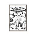 Picture of Black and white Animals _GroupedProduct_Rectangle_Portrait_Framed_Matted_