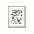 Picture of Black and white Animals _GroupedProduct_Rectangle_Portrait_Framed_Matted_