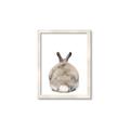 Picture of Behind Bunny _GroupedProduct_Rectangle_Portrait_Framed_Matted_