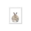 Picture of Behind Bunny _GroupedProduct_Rectangle_Portrait_Framed_Matted_