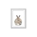 Picture of Behind Bunny _GroupedProduct_Rectangle_Portrait_Framed_Matted_