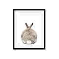 Picture of Behind Bunny _GroupedProduct_Rectangle_Portrait_Framed_Matted_